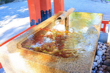秋のお色直しで紅葉が沈む美しい手水舎。
A beautiful handbasin with autumn leaves...