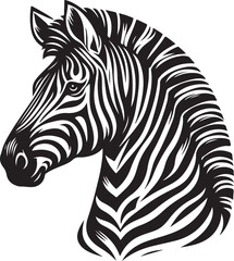 Fototapeta na wymiar zebra illustration