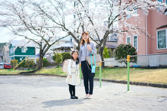 桜の咲く公園で入学の記念写真を撮る日本の母と娘