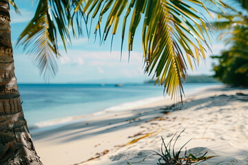Palmtrees on the sandy shore
