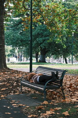 sleeping on the bench in the park