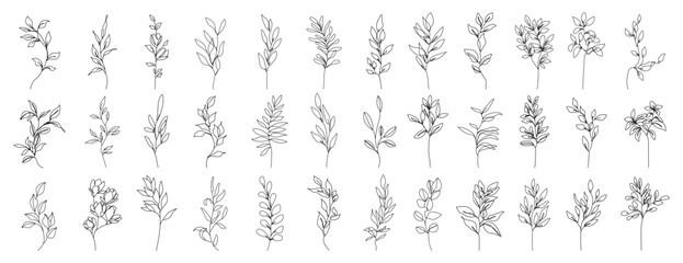 Set of Botanical Line Art Floral Drawings, Flowers, Leaves, Plants. One Line Floral Art Collection for Trendy Minimalistic Design. Hand Drawn Sketch Plants Branches. Vector Illustration