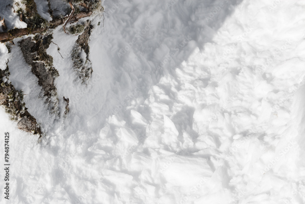 Wall mural tree trunk abstract surrounded by rough fresh white snow