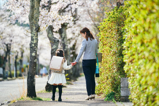 桜並木を歩き入学式に向かう日本の母と娘