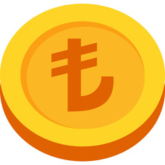 Currency Coin Icon