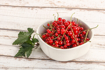 Sweet ripe red currant berries