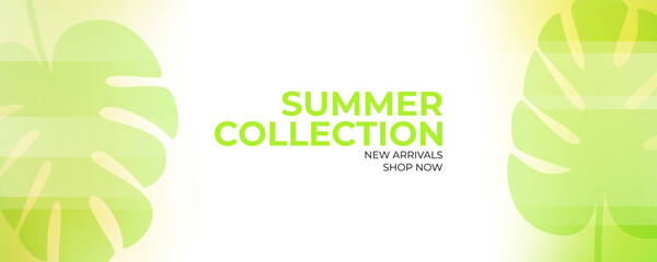 Summer Collection. New arrivals promotional banner. Summertime season abstract background with palm leaves for seasonal shopping promotion and advertising. Vector illustration.