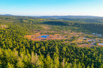 Wild forested and wet landscape of Prebuz moorland in Ore Mountains, Czech: Krusne hory, Czechia. Aerial view from drone.