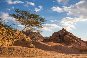 View of desert mountain landscape