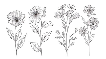One line drawing flower bouquets. Hand drawn floral romantic arrangements with different flowers, botanical sketch collection. Generative Ai