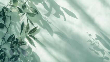 A soft pastel background with the shadow of leaves and plants