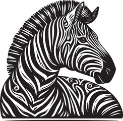 zebra illustration