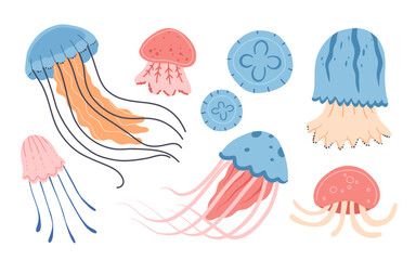 Set of various Cartoon jellyfish flat style. Medusa vector illustration. Modern flat illustration Jellyfish isolated on white background.