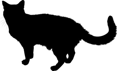 Cat silhouette. Image of a cat. Vector illustration.