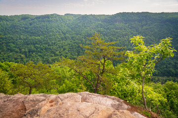 Overlook at New River Gorge National Park and Preserve