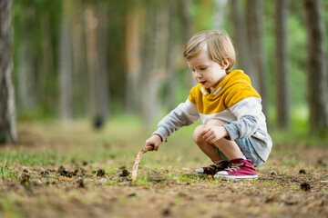 Cute little boy having fun outdoors on sunny summer day. Child exploring nature. Kid going on a...