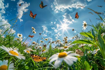 A sunlit meadow filled with vibrant daisies and fluttering butterflies under a clear sky