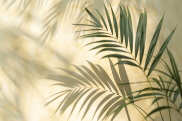 Blurred shadow of palm leaf on light cream wall
