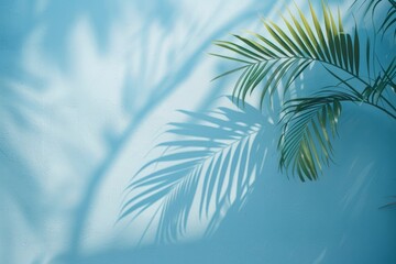 A palm trees silhouette casts shadows on a light blue wall in a subtle and artistic display of natural patterns