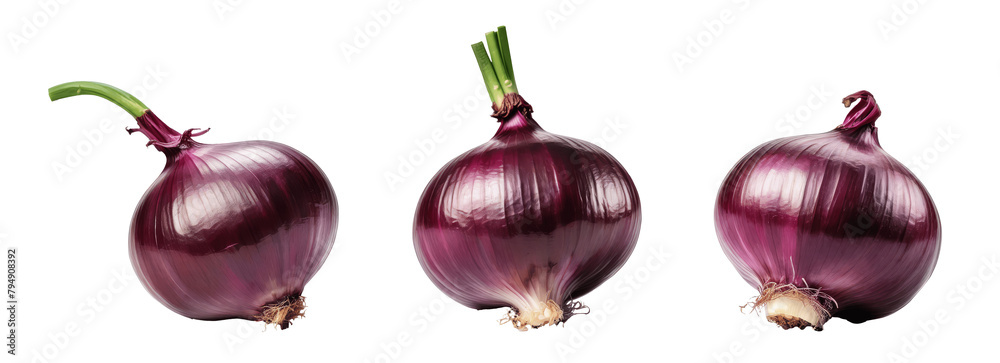 Sticker set of red onions isolated on transparent background