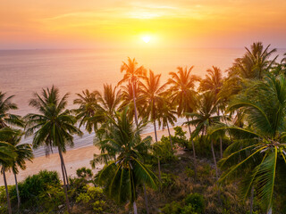 Obraz premium Tropical Beach. Sandy beach with palm and turquoise sea. Summer vacation and tropical beach concept.