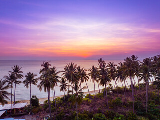 Obraz premium Beautiful sunset on a tropical paradise beach. Tropical sunset with palm tree silhouette. 