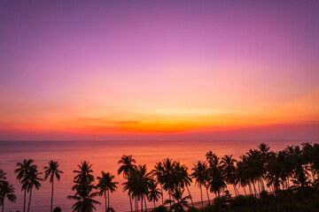 Beautiful sunset on a tropical paradise beach. Tropical sunset with palm tree silhouette. 
