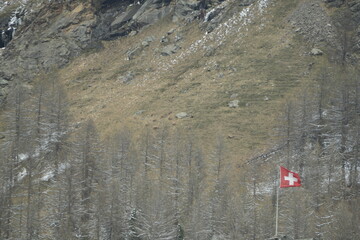 view of the mountains of pontresina in ch