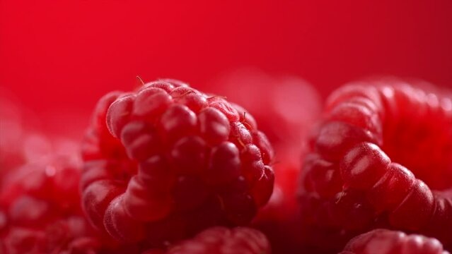 Raspberry fresh berries closeup, ripe fresh organic Raspberries macro view. Over red background, slide shot Harvest concept.