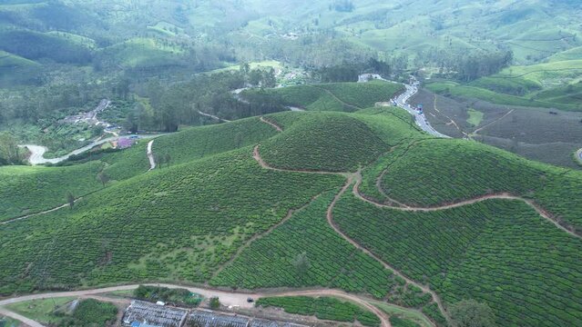 kerala god's own country    Munnar drone shot