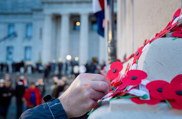 Hand placing red poppies on the wall at the Court of Honour. Anzac Day commemoration. Auckland Domain. New Zealand.