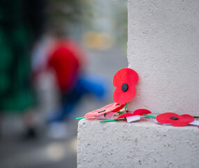 Red poppies on a wall. Unrecognizable people in the background. Anzac Day commemoration. Auckland. New Zealand. - obrazy, fototapety, plakaty