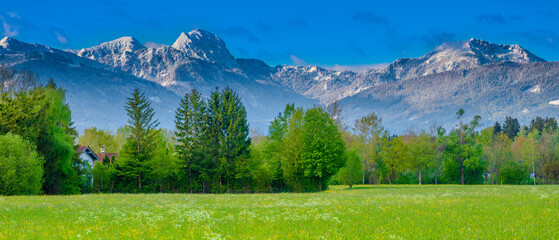 Snow capped mountains at spring time