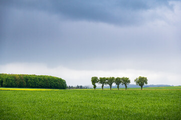 Waldviertel region, Lower Austria, Austria, Europe fields with rainy clouds