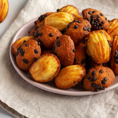 Homemade Chocolate Chip Madeleines on a Plate, side view.
