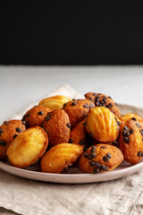 Homemade Chocolate Chip Madeleines on a Plate, side view.