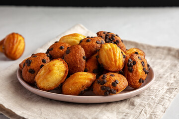 Homemade Chocolate Chip Madeleines on a Plate, side view.