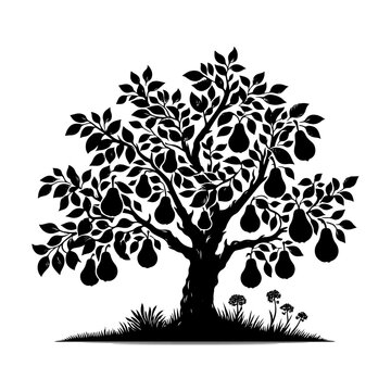 recommend clip art: Pear Tree Vector Silhouette- Tranquil Beauty of Nature's In Illustration Form- Illustration Of Pear Tree- Vector Of Pear Tree.