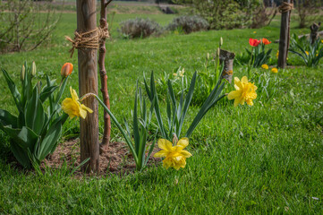 Garten Impressionen