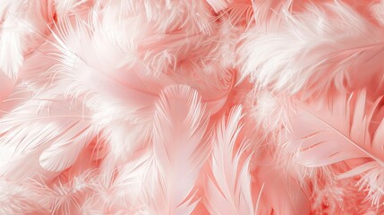 Coral White Vintage, Feather Pattern Texture Background