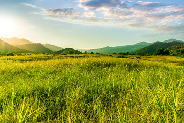 summer of spring landscape of green grass meadow with great beautiful mountains and awersome golden cloudy sunset