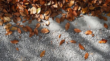 Dry leaves and gravel are scattered on the ground