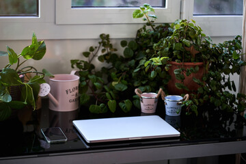 A green home office. A laptop and a smart phone in green environment.