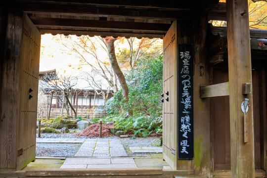 瑞泉寺山門から覗く境内。
奥には本堂、頭上には紅葉が生い茂る。

日本国神奈川県鎌倉市にて。
2021年12月19日撮影。

二階堂にある瑞泉寺。
鎌倉時代1327年創建。
鎌倉でも随一の花の寺、紅葉の寺として有名。
境内は日本国の史跡に指定され、庭園は日本国の名勝となっている。日本国の重要文化財の坐像なども多くある。

The precincts of Zuisen-ji Temple seen