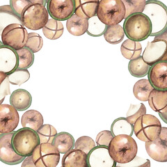 Frame of ripe Macadamia nuts on a white background, clipart. The macadamia tree. Nut close-up, raw healthy food. Watercolor illustration. Seamless pattern, template for postcards, packaging
