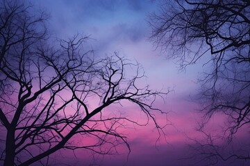Twilight Color Elegance: Evening Sky Gradient Shades