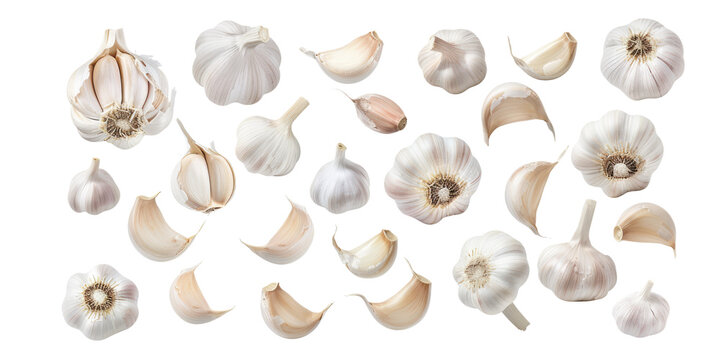 set of garlic isolated on white or transparent png