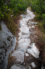 Szlak górski, ścieżka w górach. © Blaszko