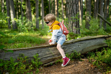 Cute little boy with a backpack having fun outdoors on sunny summer day. Child exploring nature....