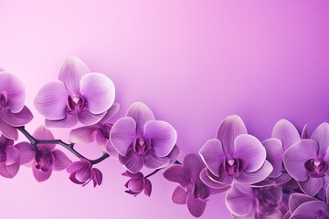 Naklejka na ściany i meble Radiant Orchid Gradient Floral Splendor - Elegance in Tones